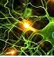 Biology (Zoology) Exam - Hindi