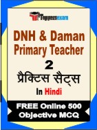 DNH & Daman Primary Teacher  Book in Hindi - Question Paper / Practice Set