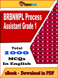 BRBNMPL Process Assistant Grade 1 Exam PDF Book In English - MCQ / Objective Questions