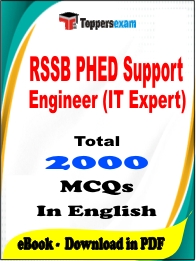 RSSB PHED Support Engineer (IT Expert) PDF Book In English - MCQ / Objective Questions
