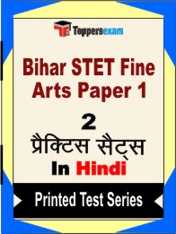 Bihar STET Fine Arts Paper 1 Book in Hindi - Question Paper / Practice Set