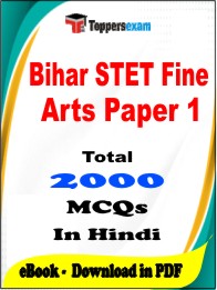 Bihar STET Fine Arts Paper 1 PDF Book in Hindi - MCQ / Objective Questions