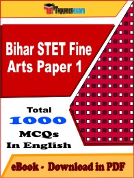 Bihar STET Fine Arts Paper 1 PDF Book in English - MCQ / Objective Questions