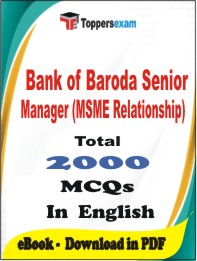 Bank of Baroda Senior Manager (MSME Relationship) PDF Book In English - MCQ / Objective Questions