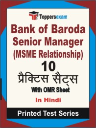 Bank of Baroda Senior Manager (MSME Relationship) Book in Hindi - Practice Set