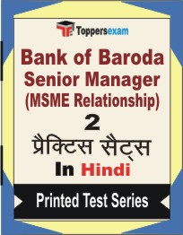 Bank of Baroda Senior Manager (MSME Relationship) Book in Hindi - Question Paper / Practice Set