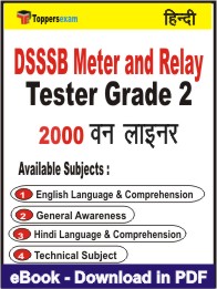 DSSSB Meter and Relay Tester Grade 2 One Liner Book PDF in Hindi