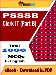 PSSSB Clerk IT (Part B)PDF Book InEnglish - MCQ / Objective Questions