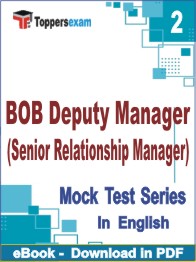 BOB Deputy Manager (Senior Relationship Manager) Test PDF Book In English - Question Paper