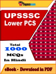 UPSSSC Lower PCS PDF Book In Hindi - MCQ / Objective Questions