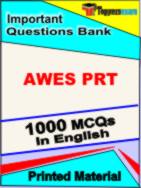 AWES PRT Test Book in English - Objective MCQ