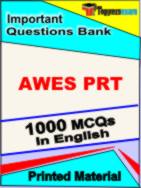 AWES PRT Test Book in English - Objective MCQ