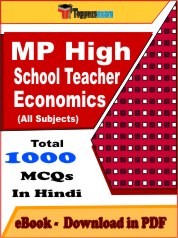 MP High School Teacher Economics PDF Book In Hindi
