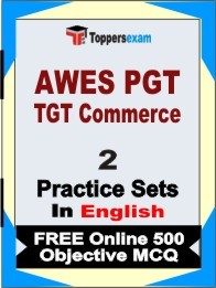 AWES PGT TGT Commerce Exam Practice Set Book in English