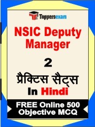 NSIC Deputy Manager Exam Practice Set Book in Hindi