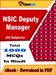 NSIC Deputy Manager PDF Book In Hindi