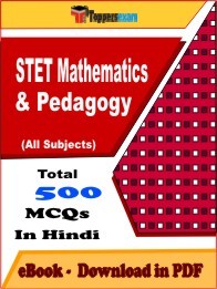 STET Mathematics & Pedagogy PDF Book In Hindi