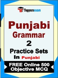 Punjabi Grammar Exam Practice Set Book in Punjabi