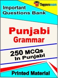 Punjabi Grammar Exam Objective MCQ Book in Punjabi