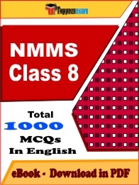 NMMS Class 8 PDF Book In English