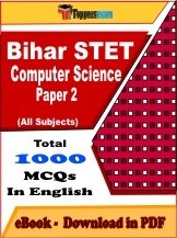 Bihar STET Computer Science Paper 2 PDF Book In English