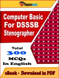 Computer Basic For DSSSB Stenographer PDF Book In English - MCQ / Objective Questions