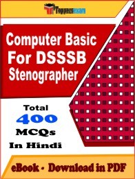 Computer Basic For DSSSB Stenographer PDF Book In Hindi - MCQ / Objective Questions