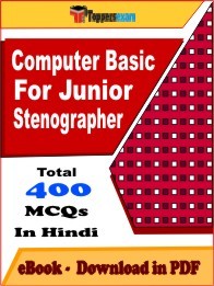Computer Basic For DSSSB Stenographer PDF Book In Hindi - MCQ / Objective Questions
