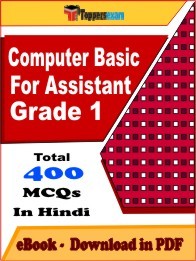 Computer Basic For DSSSB Assistant Grade 1 PDF Book In Hindi - MCQ / Objective Questions