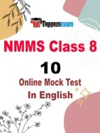 NMMS Mock Test