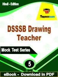 DSSSB Drawing Teacher PDF Book In Hindi - Practice Set