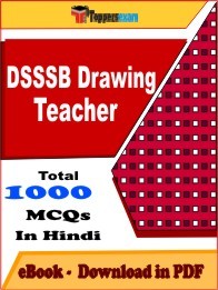 DSSSB Drawing Teacher PDF Book In Hindi - MCQ / Objective Questions