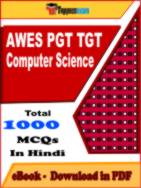 AWES PGT TGT Computer Science PDF Book In Hindi - MCQ / Objective Questions