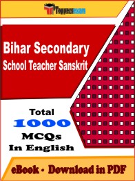 Bihar Secondary School Teacher Sanskrit Exam PDF Book In English - MCQ / Objective Questions