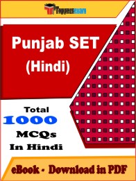 Punjab SET Hindi PDF Book In Hindi - MCQ / Objective Questions