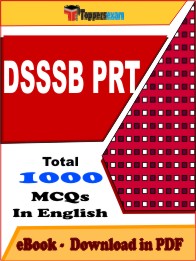 DSSSB PRT PDF Book In English - MCQ / Objective Questions