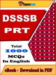 DSSSB PRT Mock Test PDF Download (Free)
