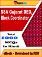 SSA Gujarat DEO, Block Coordinator PDF Book In Hindi - MCQ / Objective Questions