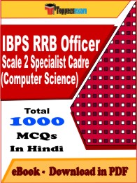 IBPS RRB Officer Scale 2 Specialist Cadre (Computer Science) Exam PDF Book In Hindi - MCQ / Objective Questions