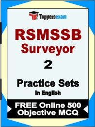 RSMSSB Surveyor Exam Book in English - Question Paper / Practice Set