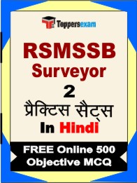 RSMSSB Surveyor Exam Book in Hindi - Question Paper / Practice Set