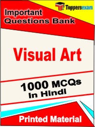 Visual Art Exam Book in Hindi - Objective MCQ