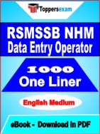 RSMSSB NHM Data Entry Operator One Liner Book PDF in English